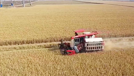 28圈APP(中国游)官方网站