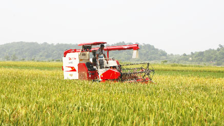 28圈APP(中国游)官方网站