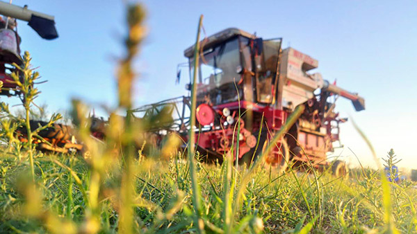 28圈APP(中国游)官方网站