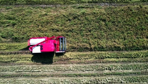 28圈APP(中国游)官方网站