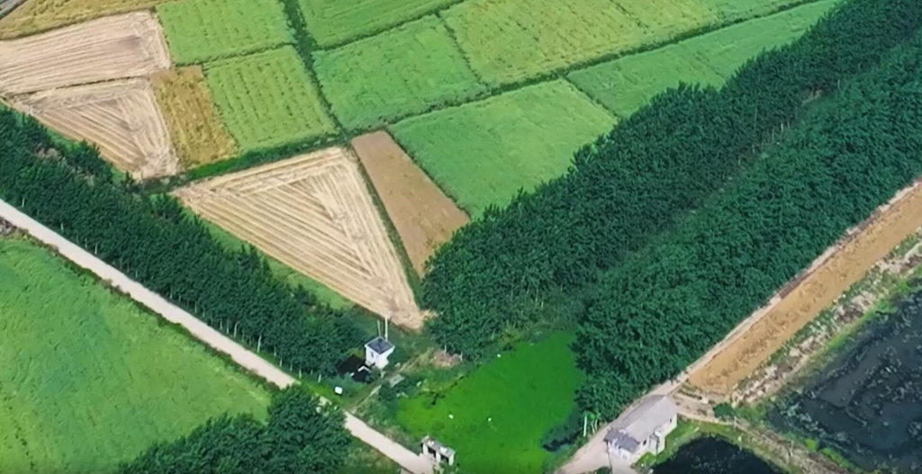 湖北履带机麦收