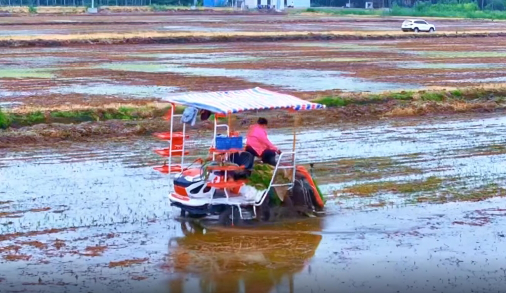 28圈APP6行插秧机在连云港作业中