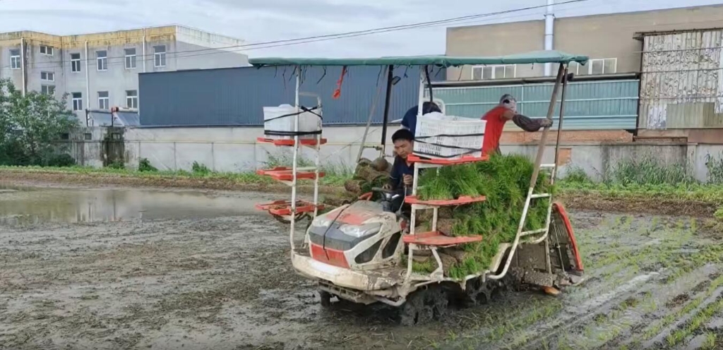 江苏靖江28圈APP小8行杂交水稻作业中，，效果效率都相当好